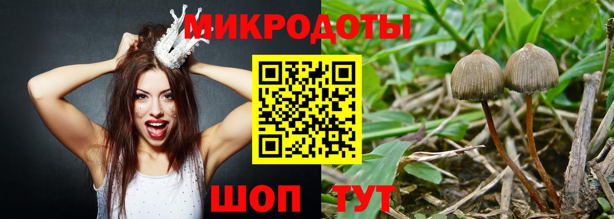 Псилоцибиновые грибы Magic Shrooms  Галлюциногенные грибы MAGIC MUSHROOMS  Алексеевка  Вход с VPN 